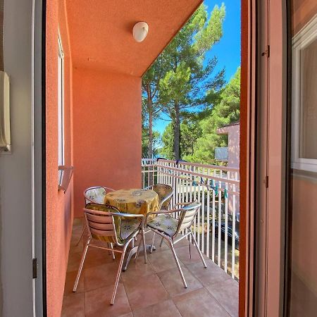Vesna S Apartment Novigrad Istria Exterior foto