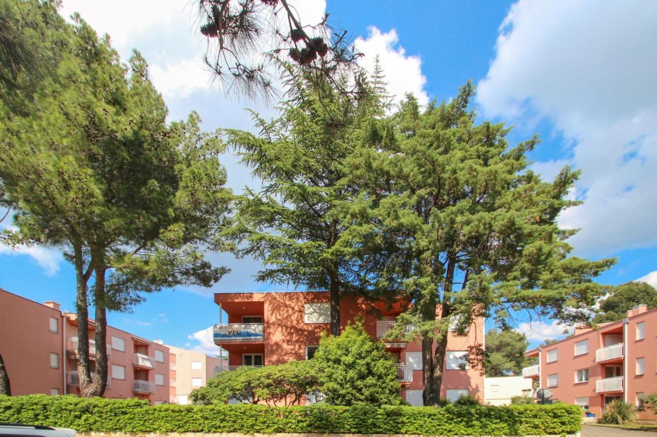 Vesna S Apartment Novigrad Istria Exterior foto